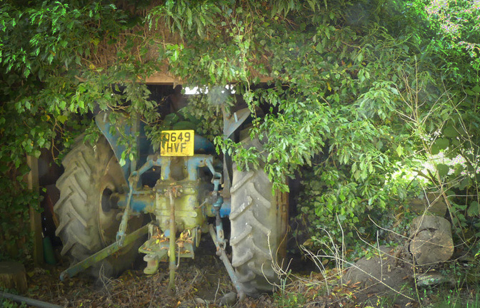 An ancient tractor engulfed by a tree